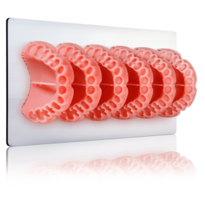 Envisiontec Flecera denture base resin 3d print nz