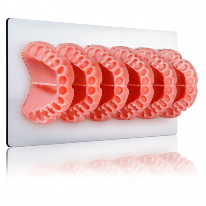 Envisiontec Flecera denture base resin 3d print nz
